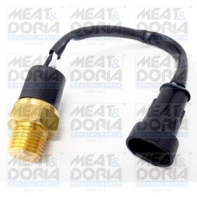 Temperature Switch, coolant warning lamp